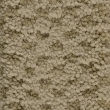 Masland Seurat Ecru 9440-508