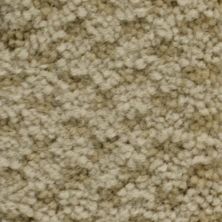 Masland Seurat Plaster 9440-568