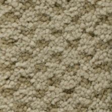 Masland Seurat Buff 9440-579