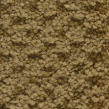 Masland Seurat Raw Sienna 9440-621