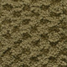 Masland Seurat Umber 9440-633