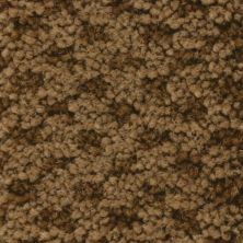 Masland Seurat Burnt Sienna 9440-664