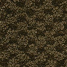 Masland Seurat Vandyke Brown 9440-670