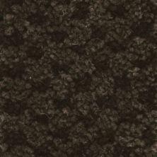 Masland Seurat Mars Brown 9440-689