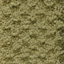 Masland Seurat Celadon 9440-737