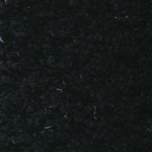 Masland Seurat Lamp Black 9440-896