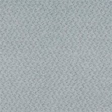 Masland New Hope Plumbago 9478-460