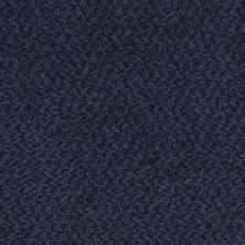 Masland New Hope Midnight 9478-490