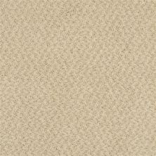 Masland New Hope Cappuccino 9478-546