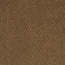 Masland New Hope Walnut 9478-675