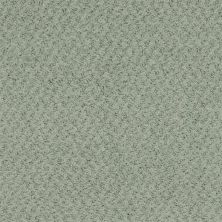 Masland New Hope Laurel 9478-743