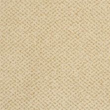 Masland Montauk Colony 9479-342