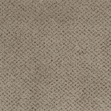 Masland Montauk Arrowhead 9479-677