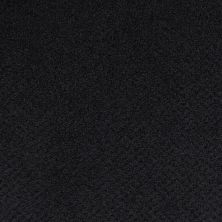 Masland Montauk Black Pearl 9479-888