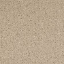 Masland Matisse Frappe 9493-514