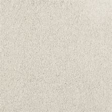 Masland Oceanside Dove Tail 9495-515