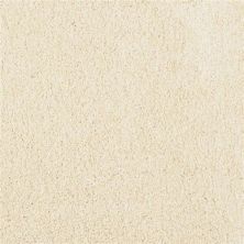 Masland Miami Beach Front 9496-532