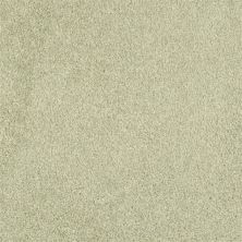 Masland Miami Glade 9496-723