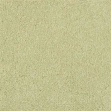 Masland Miami Springhill 9496-735