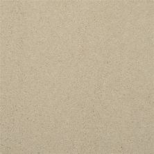 Masland Embrace Lusta 9501-106