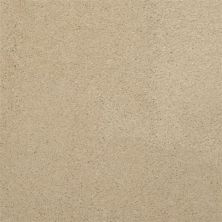 Masland Embrace Frangipani 9501-208