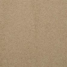 Masland Embrace Husk 9501-209