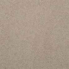 Masland Embrace Chino 9501-223