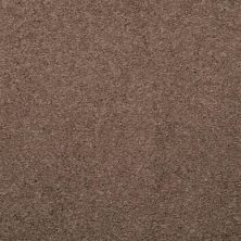 Masland Embrace Chicago Taupe 9501-326