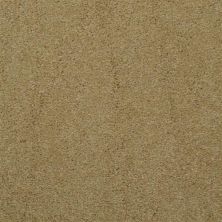 Masland Embrace Bronze Tone 9501-341