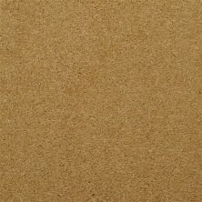 Masland Embrace Deco 9501-410