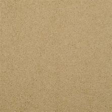 Masland Embrace Cape Honey 9501-449