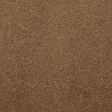 Masland Embrace Barley 9501-715