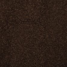 Masland Embrace Cola 9501-718
