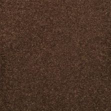 Masland Embrace Bison 9501-734