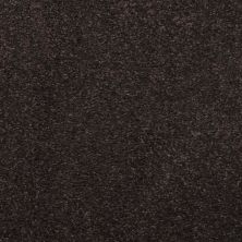 Masland Embrace Black Olive 9501-735
