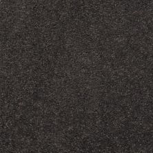 Masland Embrace Bastille 9501-833