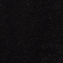 Masland Embrace Black Bean 9501-836