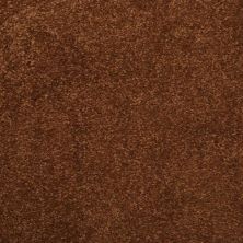 Masland Embrace Bracken 9501-916