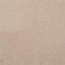 Masland Embrace Apricot 9501-957