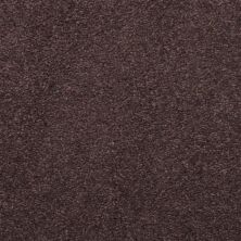 Masland Embrace Comet 9501-971