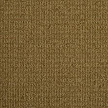 Masland Sisaltex Shingle 9508-504