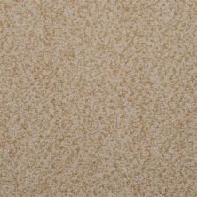 Masland Granique Sand Stone 9514-124