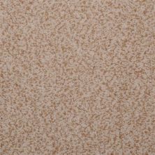 Masland Granique Ammonite 9514-229