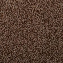 Masland Granique Tiger Eye 9514-777