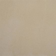 Masland Silk Touch Bittersweet 9515-115