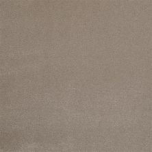 Masland Silk Touch Muffet 9515-212