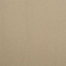 Masland Silk Touch Biscotti 9515-216