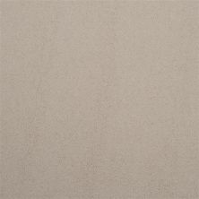 Masland Silk Touch Patina 9515-221