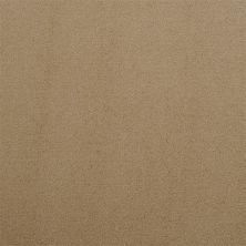 Masland Silk Touch Surrey 9515-231