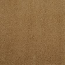 Masland Silk Touch Torbay 9515-323